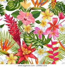 Browse & shop our range of tropical wallpaper. Watercolor Tropical Vector Photo Free Trial Bigstock