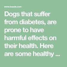 Just be sure to check with your vet or a canine nutritionist to ensure that your dog is getting enough calories every day. 25 Diabetic Dog Recipes Ideas Dog Recipes Dog Food Recipes Healthy Dog Food Recipes
