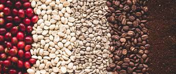 Coffee is a brewed beverage made from the roasted seeds, or beans, of the coffee plant. Coffee The Journey From The Seed To Your Cup Essense Coffee