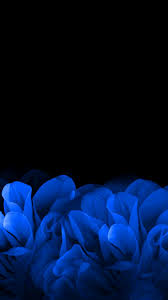 Largest collection of amoled ultra hd wallpaper (4k). Amoled Dark Wallpaper Hd Phone 18 Dark Wallpaper Hd For Mobile Flower 1080x1920 Download Hd Wallpaper Wallpapertip