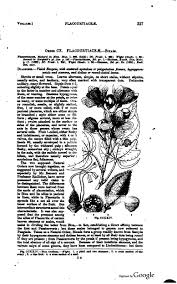 Lindley John 1853 The Vegetable Kingdom Or The Structure Classification And Uses Of Plants Illustrated Upon The Natural System 3d Ed London Bradbury And Evans