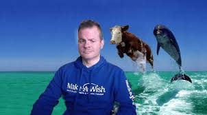 There's a hack that lets you add background images to teams. Fun Background Images For Zoom And Microsoft Teams Video Chats And Meetings Brainlitter Video Team Background Images Fun