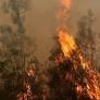 Devastating 2026 Gironde Wildfires Lead to Massive Evacuations and Complex Care for Vulnerable Populations