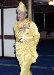 Pada bulan disember 2006 baginda telah dilantik menjadi timbalan yang dipertuan agong untuk kali pertama sehingga bulan disember 2011. Warisan Raja Permaisuri Melayu Timbalan Yang Di Pertuan Agong