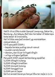 Jangan lupa juga untuk mengajak teman dan sahabat bisa melalui ajakan langsung, ataupun dalam bentuk story atau status jumat berkah yang bisa dibaca siapapun dalam contac whatsapp kita. Pin Oleh Kariza Ramilia Di Lucu Humor Lucu Momen Lucu Perasaan