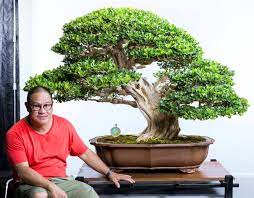 Cultivating Interests How A Renowned Philippine Landscape Artist Went From Bonsai Enthusiast To Award Winning Collector Agriculture Monthly