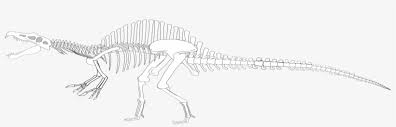 Spinosaurus coloring pages are a fun way for kids of all ages to develop creativity, focus, motor skills and color recognition. Spinosaurus Skeleton Toolbox Png Image Transparent Png Free Download On Seekpng