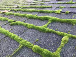 Moss consists of various green flowerless plants. Asphalt Shingle Roof Cleaning Moss Removal Coastal Roof Cleaning Experts