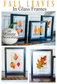 How to make a floating frame : Falling Leaves Diy Stonegable