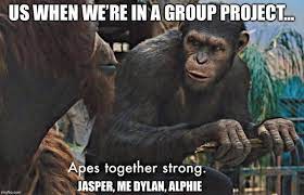 Maybe you would like to learn more about one of these? Apes Together Strong Know Your Meme