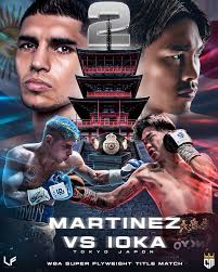 CHINO MAIDANA PROMOTIONS