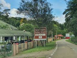 Taman negara sungai relau merapoh pahang. Titian Perjalanan Singgah Sebentar Di Taman Negara Sungai Relau Merapoh