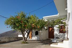 Tilos continues to offer products constructed from the finest materials with an unparalleled after 25 years, tilos has steadily grown to include more than 350 products and distributes to more than 14. Tilos Island Pictures Photo Gallery Of Tilos Island High Quality Collection