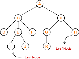 Check spelling or type a new query. Tree Data Structure Tree Terminology Gate Vidyalay