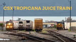 Check spelling or type a new query. Csx Tropicana Juice Train In Tampa Fl Youtube