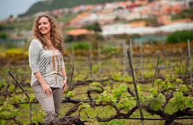 Consta de una nave principal. Bodega El Lomo De Tegueste Tradicion Y Respeto Por La Vina