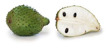 Image result for Annona muricata