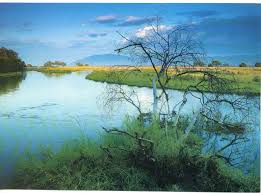 Mana Pools National Park Zimbabwe The More I Read About These Places The More I Want To Go On Safari And A River Tr National Parks River Trip Africa Travel