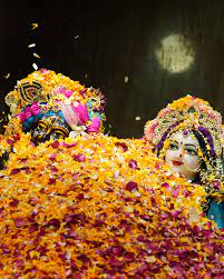 Flower festival 2025 #iskcon #harekrishna #radhekrishna #krishna #vrindavan  #govinda #iskcon #iskconravet #pcmc #pune #radhe #radheradhe