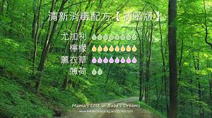 清新消毒精油配方 初階版 essential oils neon signs oils