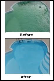 Having Swimming Pool Water Problems Find Out How Plants Can Help Prevent Pool Water Problems Cloudy Pool Water Swimming Pool Water Pool
