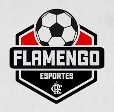 Flamengo vence o sport por 2 a 0 e se aproxima do g4 do brasileirão. Flamengo Mundial Home Facebook