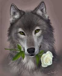 Wolf With Rose Wolf Spirit Animal Animals Animals Beautiful
