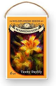 For weeks on end, the plants push up new flower scapes and every morning a new bloom or two opens. Amazon Com 5 Washington Wildflower Tawny Daylily Seed Packets 6 Wildflower Seeds Per Packet Garden Outdoor