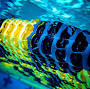 Profile Picture of Mark Jurek - SwimSwam (@swimswam.com) on Google