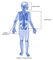 Check spelling or type a new query. Materi Media Pembelajaran Ipa Sd