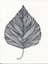 Black And White With Color Drawing Pin By Jon Kurtsmajlaj On Colors Drawings Art Drawings Ink Drawing