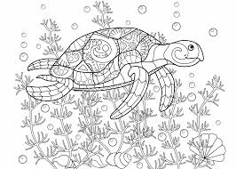 1280 x 1767 jpeg 335kb. Kleurplaat Schildpad 55 Leuke Kleurplaten Van Schildpadden