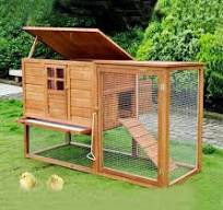 Conception de cage à poulet ronde cages modernes pour poules pondeuses