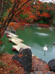 Autumn Lake Auburn Botanical Gardens New South Wales Australia Louise Docker Via Flickr Via Wikimedia Japanese Garden Japanese Garden Design Autumn Garden