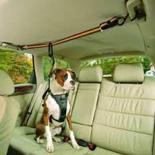 Hundegurt Auto Sicherheitsgurt Hunde Anschnallgurt Hund Auto Hundegurt Furs Auto Verstellbare Lange Amazon De Haus Hund Diy Autositze Fur Hunde Hundegurt