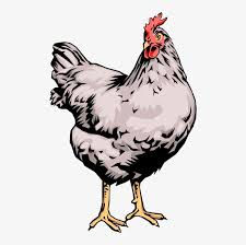 Farmers Clipart Poultry Farming Live Chicken Clip Art Png Image Transparent Png Free Download On Seekpng Find & download free graphic resources for chicken. farmers clipart poultry farming live