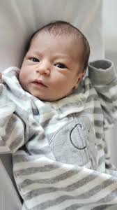 Nicholas DeSario Obituary