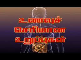 They move round and round in cycles and never run out. à®‰à®£à®µ à®š à®š à®° à®® à®© à®‰à®± à®ª à®ª à®•à®³ Digestive Human Body System And Function Youtube