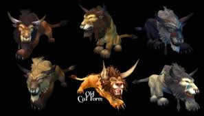 worgen druid cat colors best cat cute pictures meme