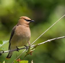 Every photographer dreams of that one lens or camera that they wish they had, but would never buy. Today Is Nature Photography Day Oregon S Tualatin Valley Is A Photographer S Dream Full Of Scenic Area Nature Photography Wildlife Photography Photography Day