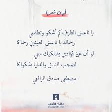 يا ناعس الطرف ابيات جميلة لمصطفى صادق الرافعي Words Quotes Book