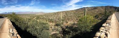 Cactus forest drive is located in tucson. Scenic Cactus Forest Loop Drive At Saguaro National Park