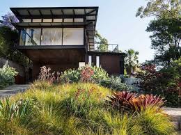 Front garden landscaping ideas australia. True Blue Design Ideas Native Plant Project