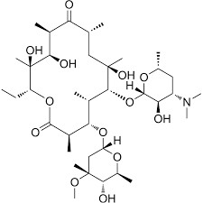 Image result for Erythromycin
