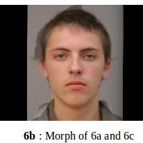 Sources of references in a research paper, classified by seniority of...