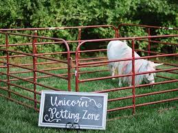 A Unicorn Petting Station Took This Wedding Over The Top Zoo Animals Petting Zoo Party Zoo Wedding