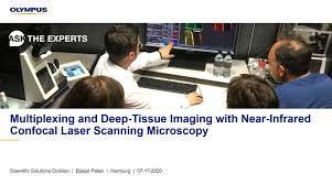 Our listings are from countries worldwide including many from top rated chinese. Multiplexing And Deep Tissue Imaging With Near Infrared Confocal Laser Scanning Microscopy Olympus Ls