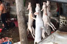 Gesund essen bedeutet für jeden etwas anderes, weshalb felfel auf transparenz setzt damit. Werden In China Wirklich Hunde Und Katzen Gegessen