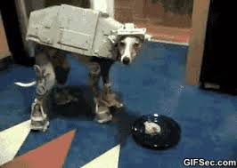 Gifsec Reaction Gif And Best Funny Gifs Dog Jokes Dog Gifs Funny Dog Jokes