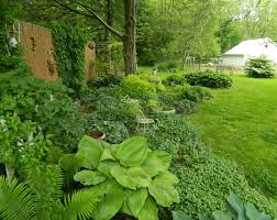 Pam S English Cottage Garden English Cottage Garden Shade Garden Cottage Garden